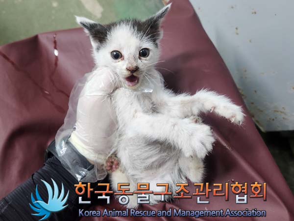 종료(자연사) 한국…